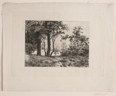 Oak Trees at the Edge of a Forest by Vilhelm Kyhn