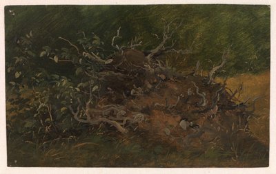 Study of a Tree Stump by Vilhelm Petersen