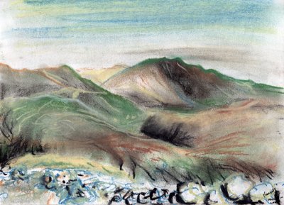 Hills in the Lake District by Vincent Alexander Booth
