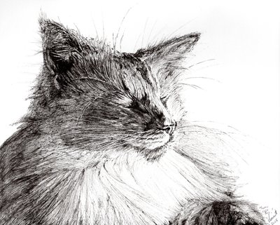 Monty Cosy Boy by Vincent Alexander Booth