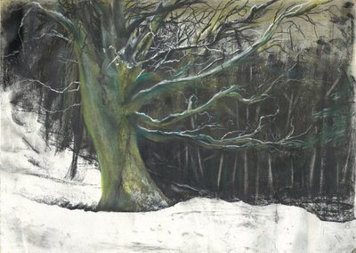 Tree in winter snow at Osmotherley woods by Vincent Alexander Booth