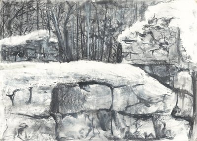 Wall in the Woods Osmotherley by Vincent Alexander Booth