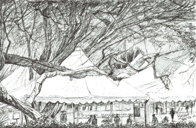 Wedding tents at Lake Navaisha Kenya, 2003 by Vincent Alexander Booth