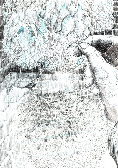 page43, The Castle in the Forest of Findhorn, 2006 by Vincent Alexander Booth