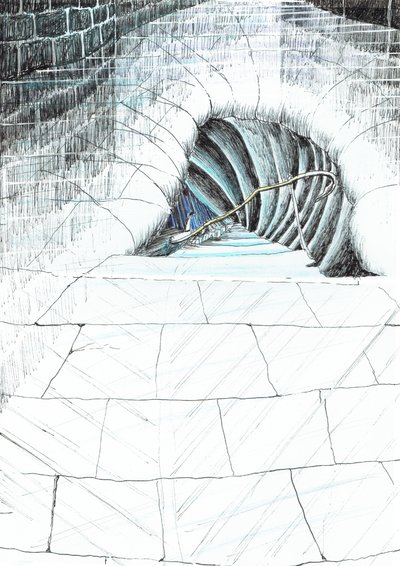 page45, The Castle in the Forest of Findhorn, 2006 by Vincent Alexander Booth
