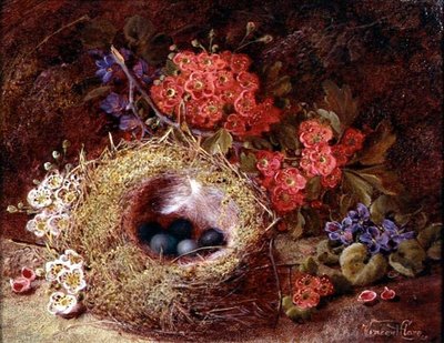 Still Life of a Bird