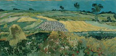 The Plain of Auvers by Vincent van Gogh