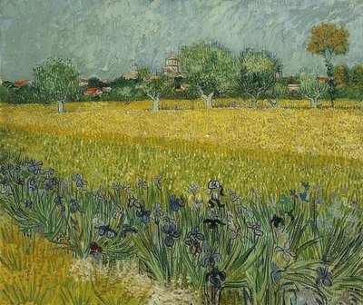 Field with Irises near Arles. May 1888 by Vincent van Gogh