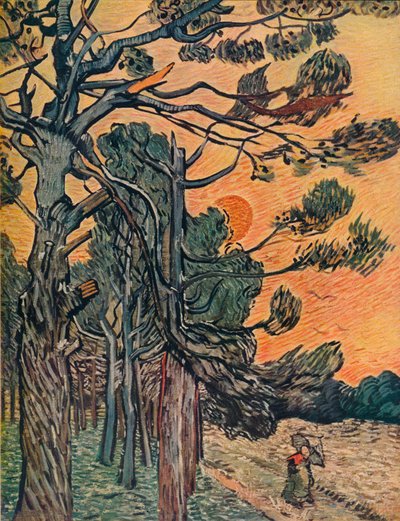 Forest of Firs at Dusk by Vincent van Gogh