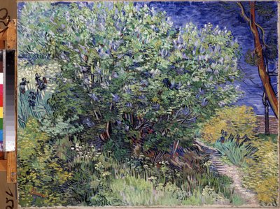 Lilac Bush by Vincent van Gogh