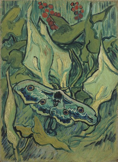 The Great Green Peacock (Death
