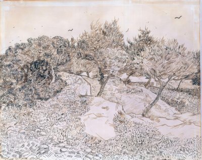 Olive Trees at Montmajour by Vincent van Gogh