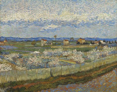 Peach Trees in Blossom, 1889 by Vincent van Gogh