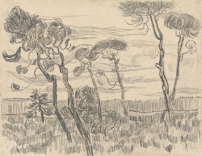 Six Pines Near the Enclosure Wall by Vincent van Gogh