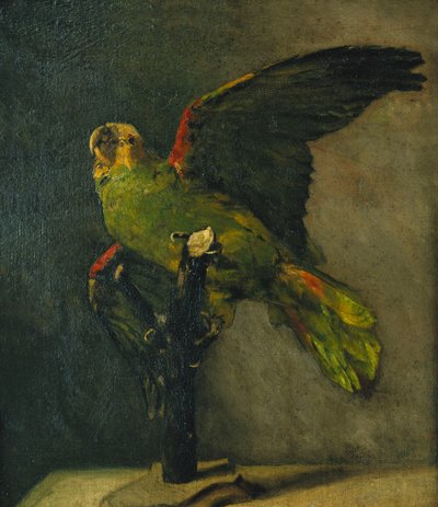 The Green Parrot by Vincent van Gogh