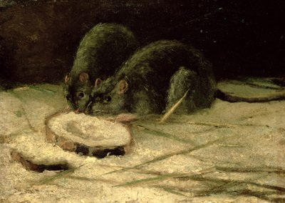 Two Rats by Vincent van Gogh