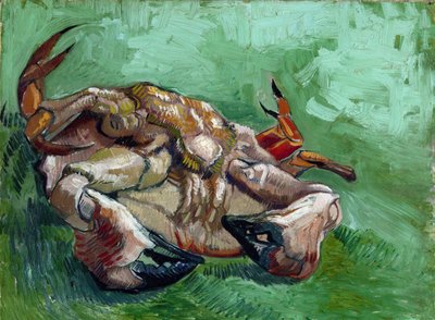 A Crab Lying on His Back by Vincent van Gogh