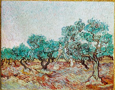 Women Picking Olives by Vincent van Gogh