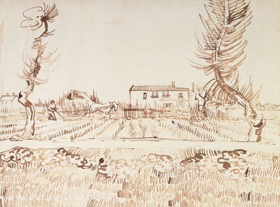 Working the Fields at Arles by Vincent van Gogh