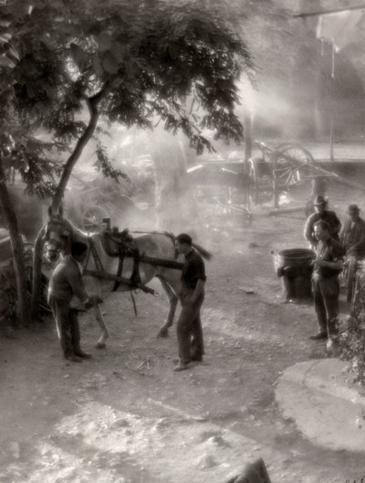 Shoeing the Horses, Italy by Vincenzo Balocchi