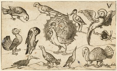 Peacock in centre surrounded by nine other birds, including a turkey, and a butterfly by Virgil Solis
