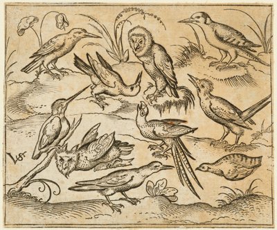 Ten Birds Sitting on Branches and Patches of Grass, Including Two Owls and a Bird by Virgil Solis