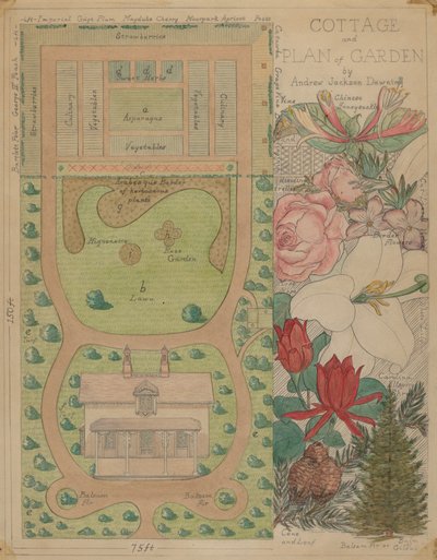 Ground Plan for Cottage by Virginia Richards