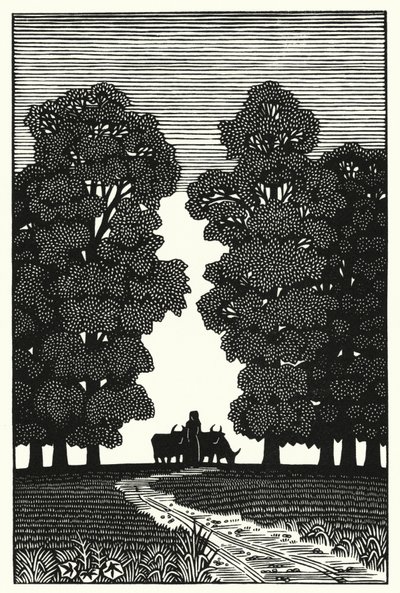 Illustration for Tess Of The D