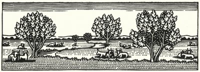 Illustration for Tess Of The D