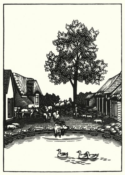 Illustration for Tess Of The D