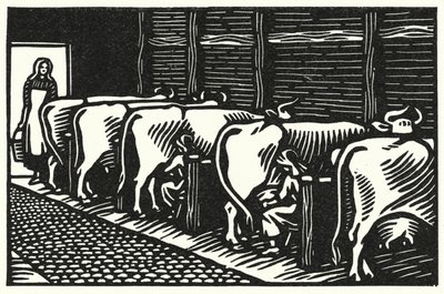 Illustration for Tess Of The D