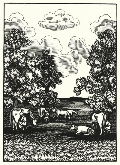 Illustration for Tess of the d