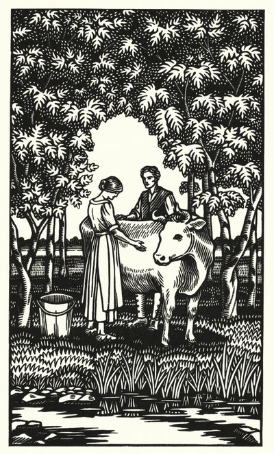 Illustration for Tess of the d