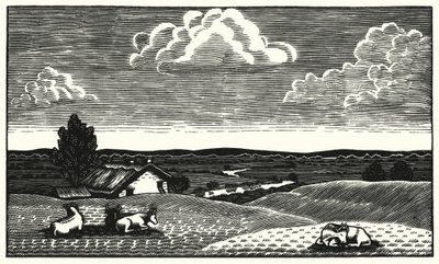 Illustration for Tess of the d