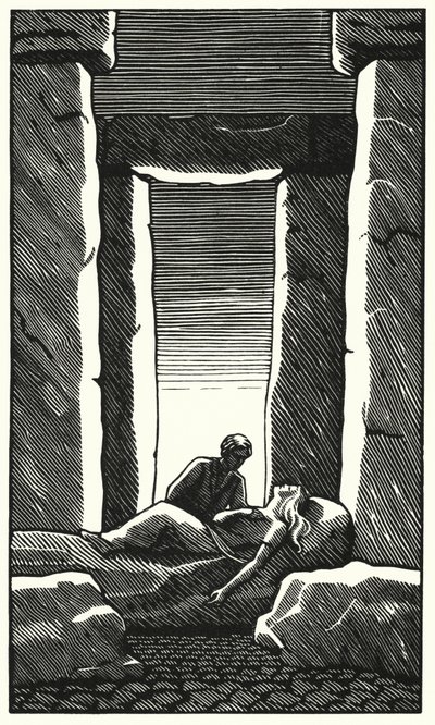 Illustration for Tess of the d