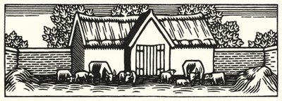 Illustration for Tess of the d