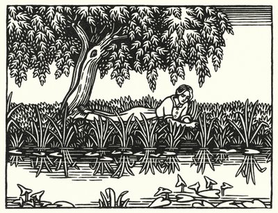Illustration for Tess of the d