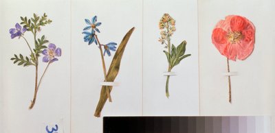 Four Sheets of Writing Paper by Vladimir Pavlovich Sokolov