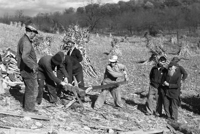 Farmhands in a cornfield saw a log to make firewood using a crosscut saw operated by two men by Volkmar Wentzel