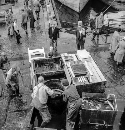 Fishermen in Iceland unload catch onto dock by Volkmar Wentzel