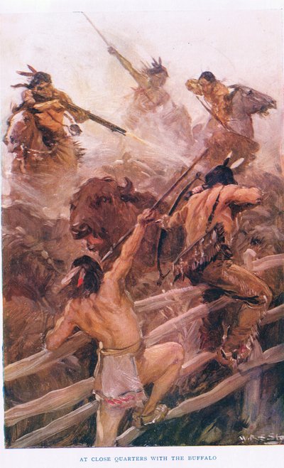 At Close Quarters with the Buffalo, illustration from 