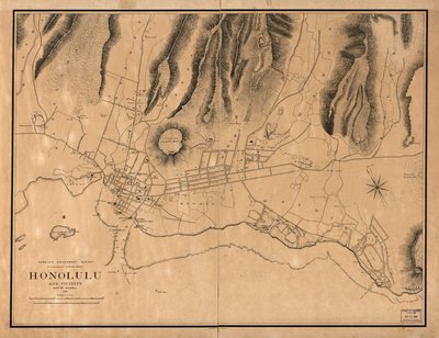 Honolulu and Vicinity by W. A.; Alexander Wall