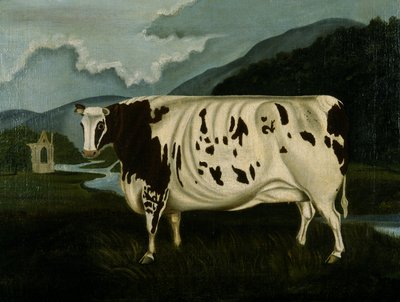 The Famous Craven Heifer by W. D. Fryer