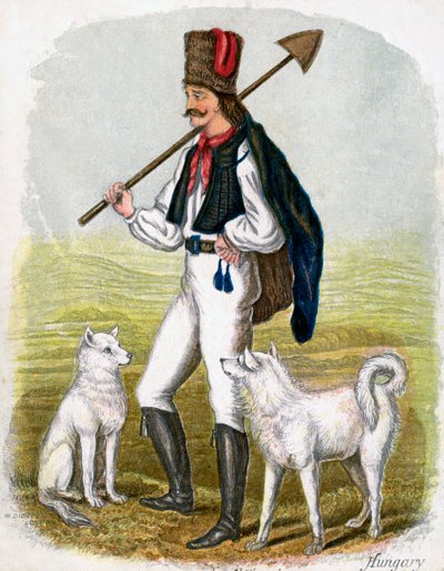 Hungarian Man with Dogs by W. Dickes