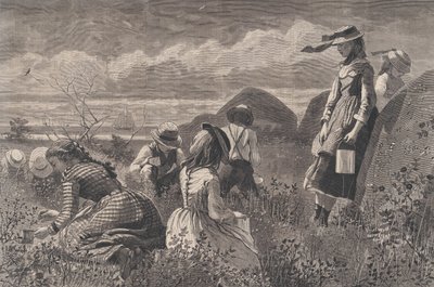 Gathering Berries Harper