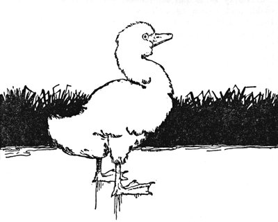 He Came to a Wide Moor by William Heath Robinson