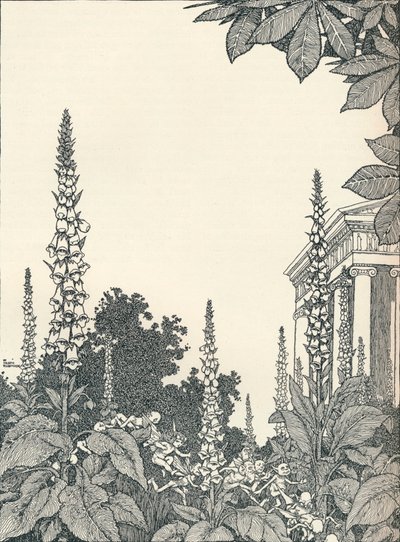 Illustration to A Midsummer Night