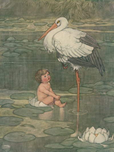 The Bud Opened Into a Full-Blown Flower, c1930 by William Heath Robinson
