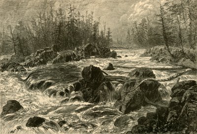 The Dalles of the St. Louis by W. J. Linton