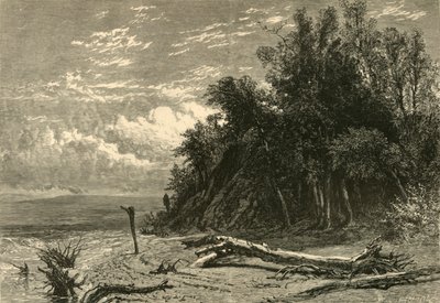 The Shore at Lake Forest, 1874 by W. J. Linton